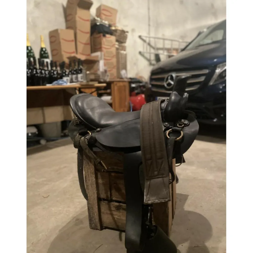 Selles De Western>Selle orientée western