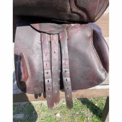 Pessoa Selles Mixtes><noscript><img width=