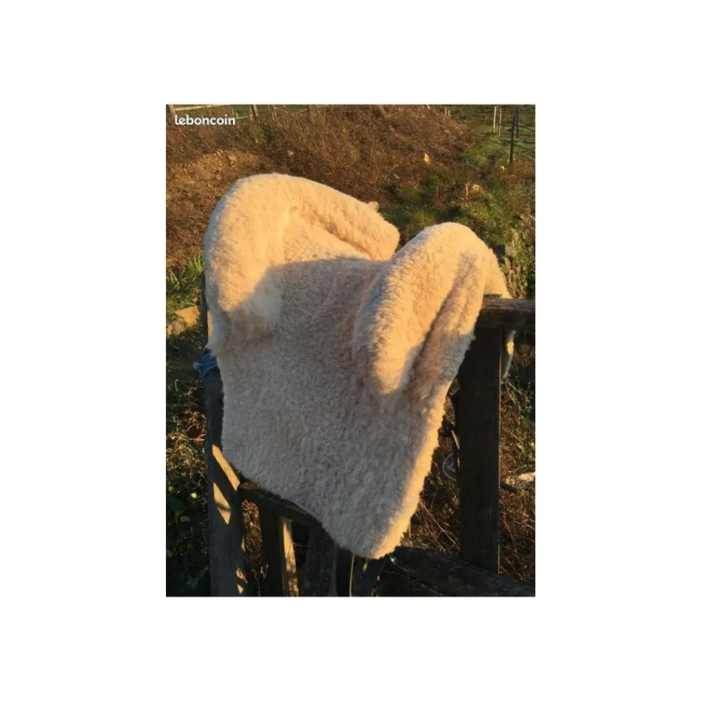 - Marque inconnue - Selles Ibériques (Portugaises, Espagnoles...)>Selle portugaise