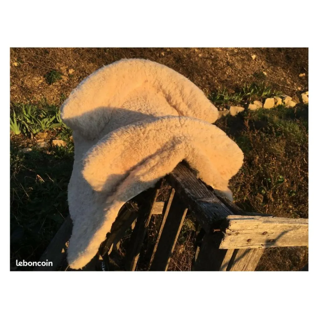 - Marque inconnue - Selles Ibériques (Portugaises, Espagnoles...)>Selle portugaise