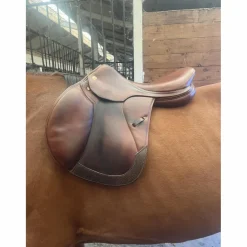 Prestige Selles Mixtes><noscript><img width=