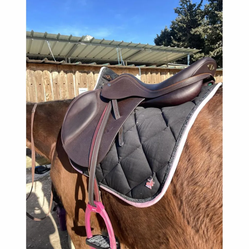 Selle équipe*Equipe Clearance