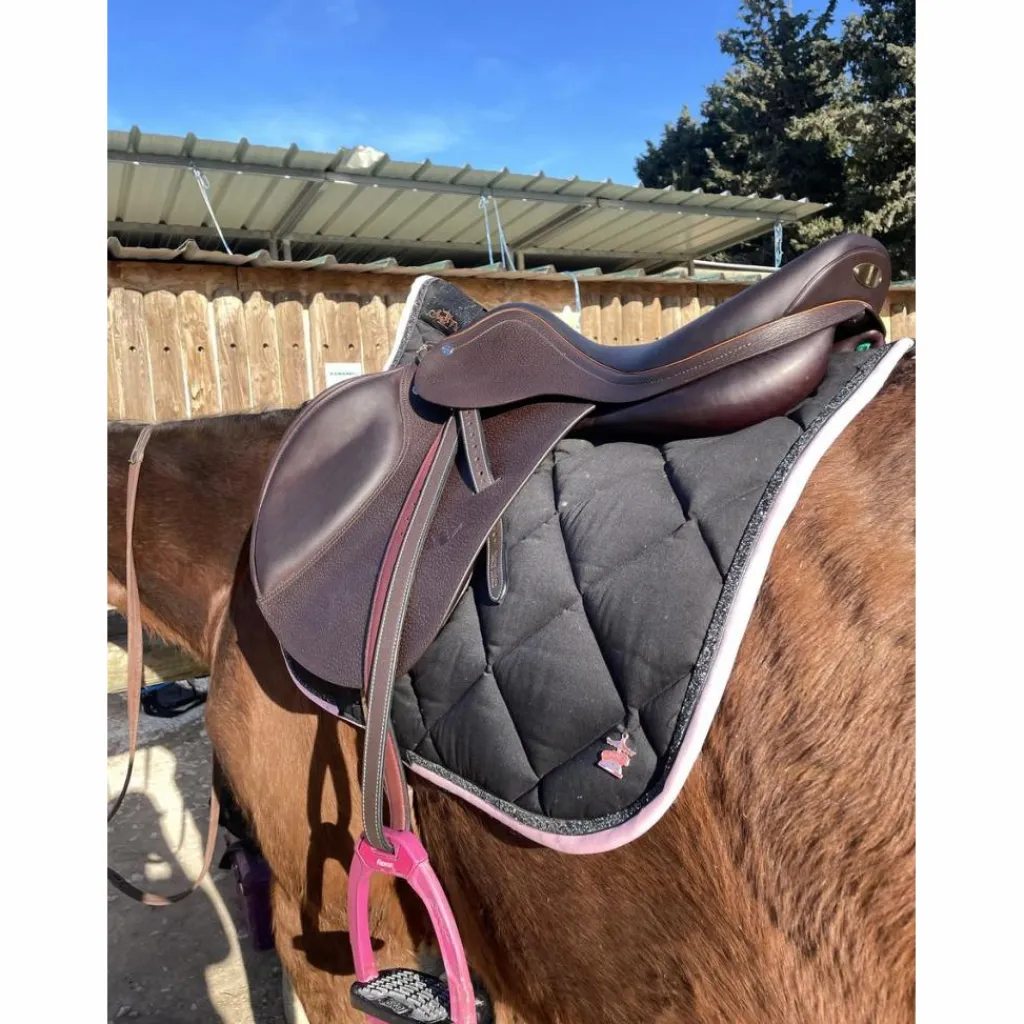 Selle équipe*Equipe Clearance