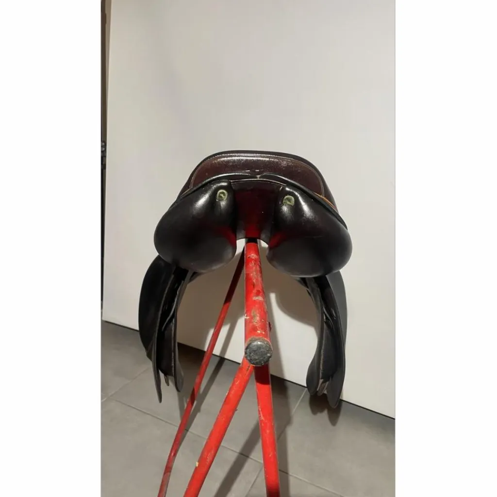 Equipe Selles Mixtes>Selle Équipe Expression