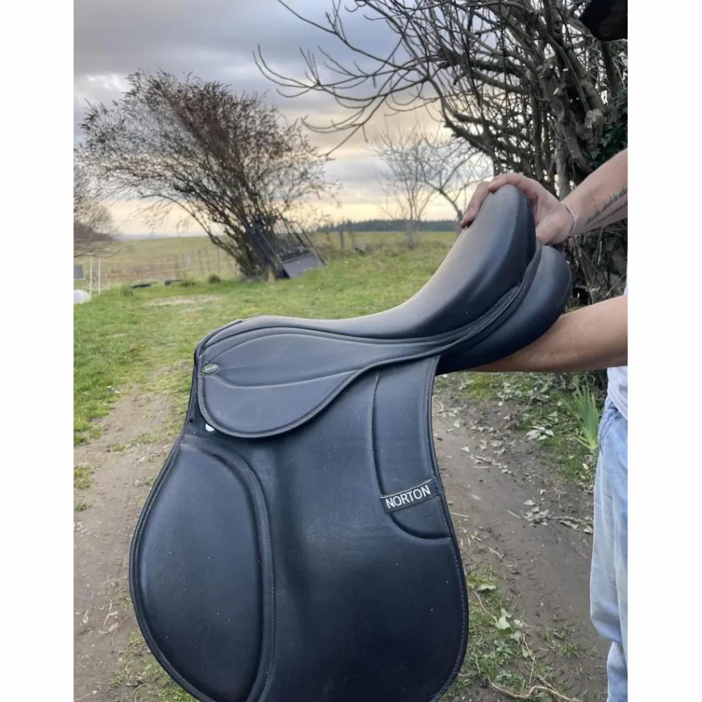 Selle équitation*Norton Online