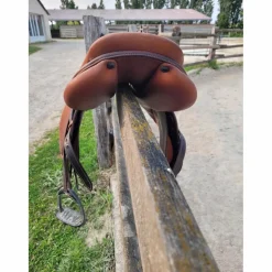 Selle F 2021 17*Renaissance Hot