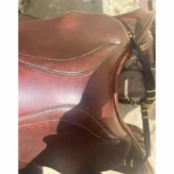 selle se02*CWD Online