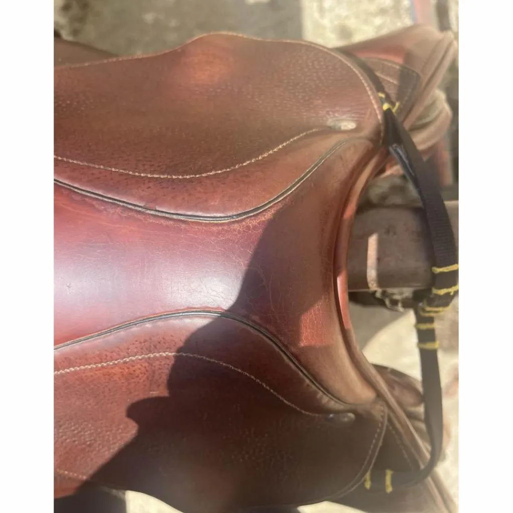 selle se02*CWD Online