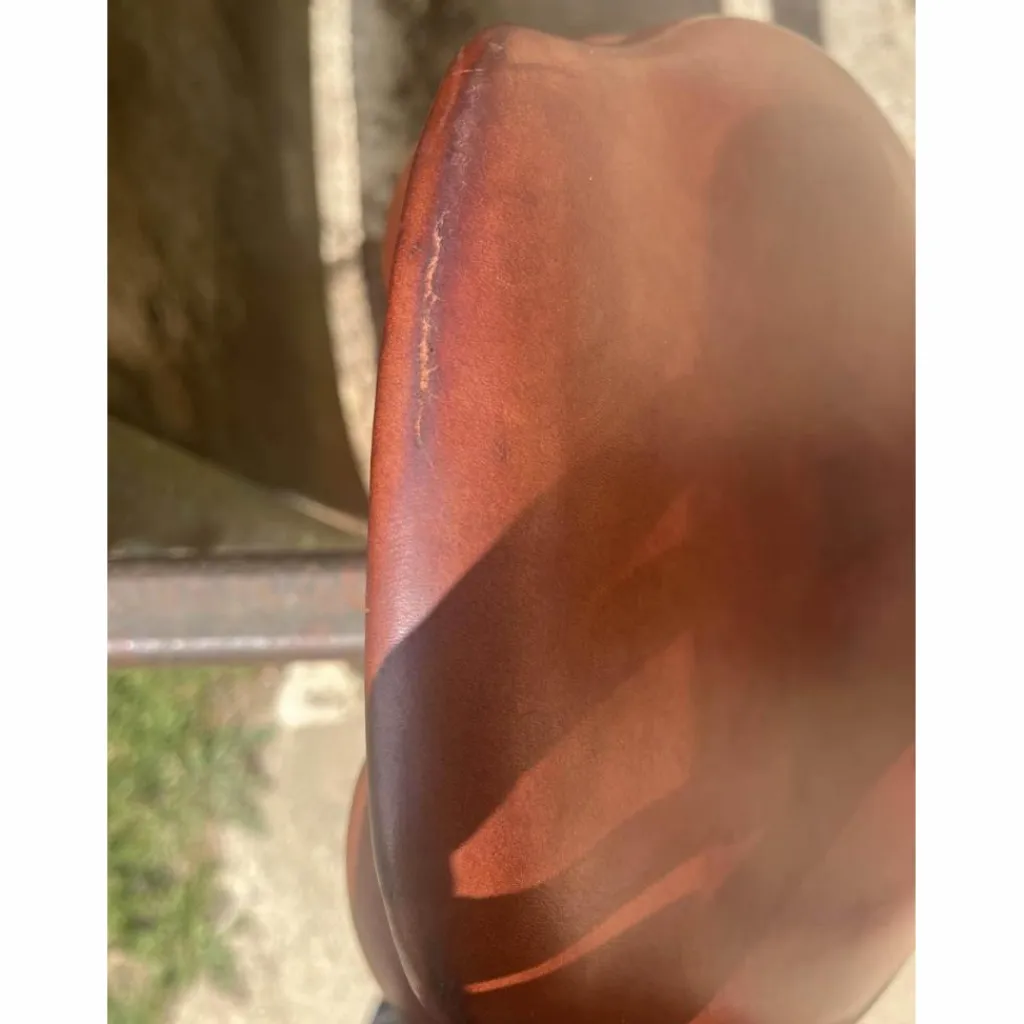 selle se02*CWD Online