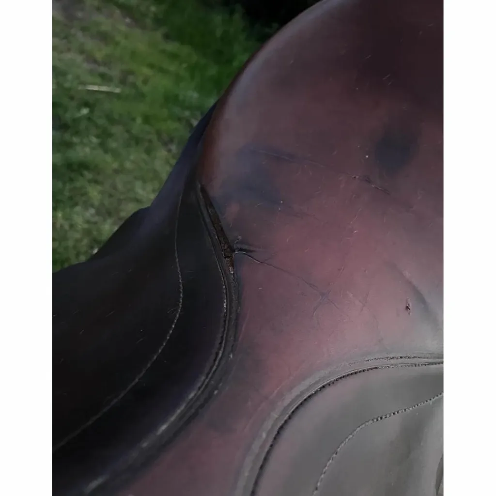 Stubben Selles D'Obstacle>selle edelweiss