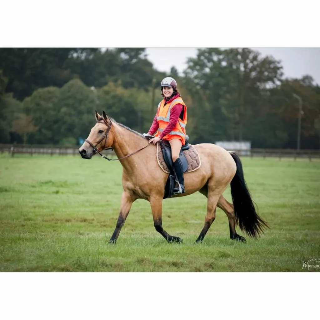 selle dressage*Tekna New