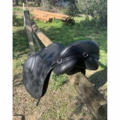 Thorowgood Selles Mixtes><noscript><img width=