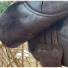 selle times rider*Time Rider