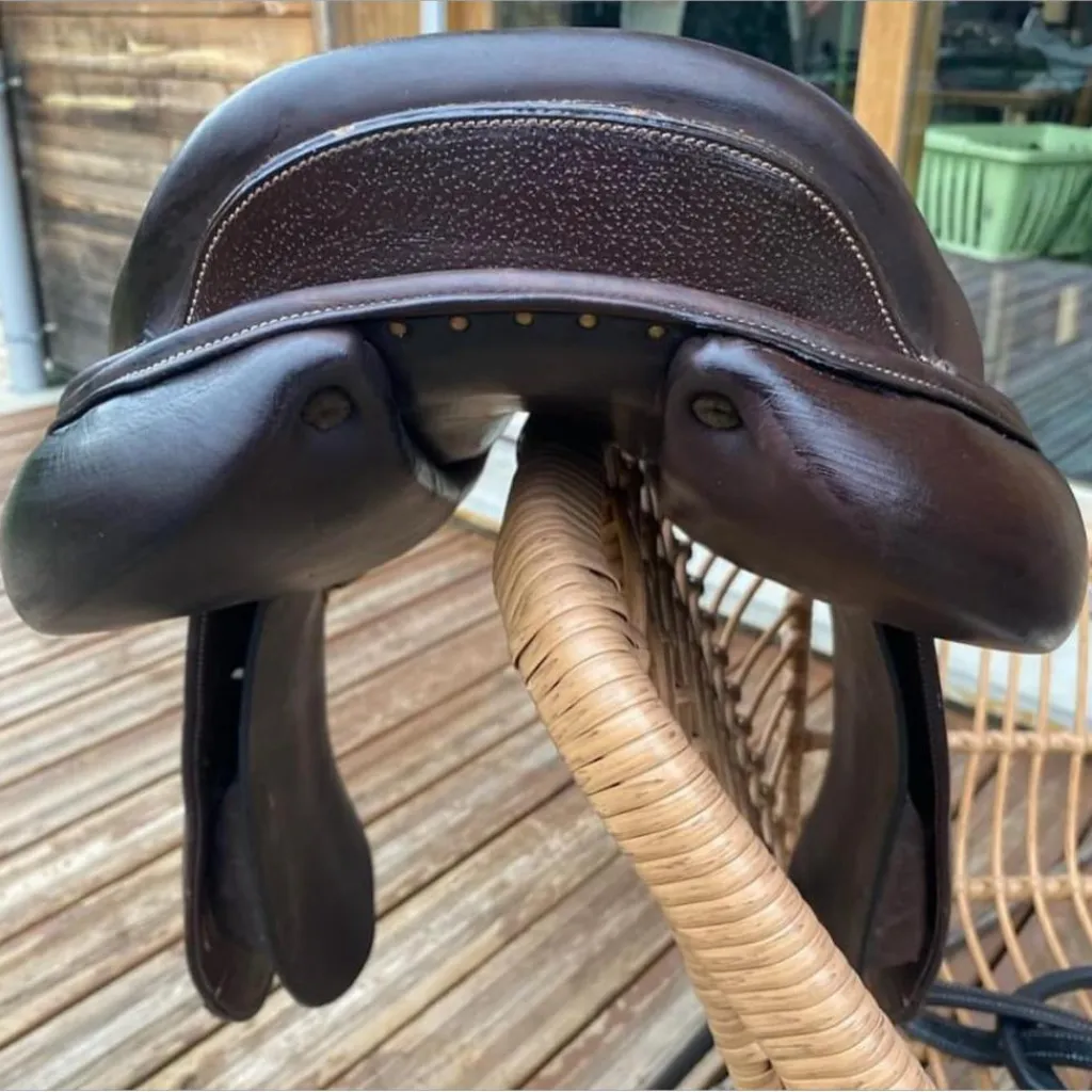 selle times rider*Time Rider