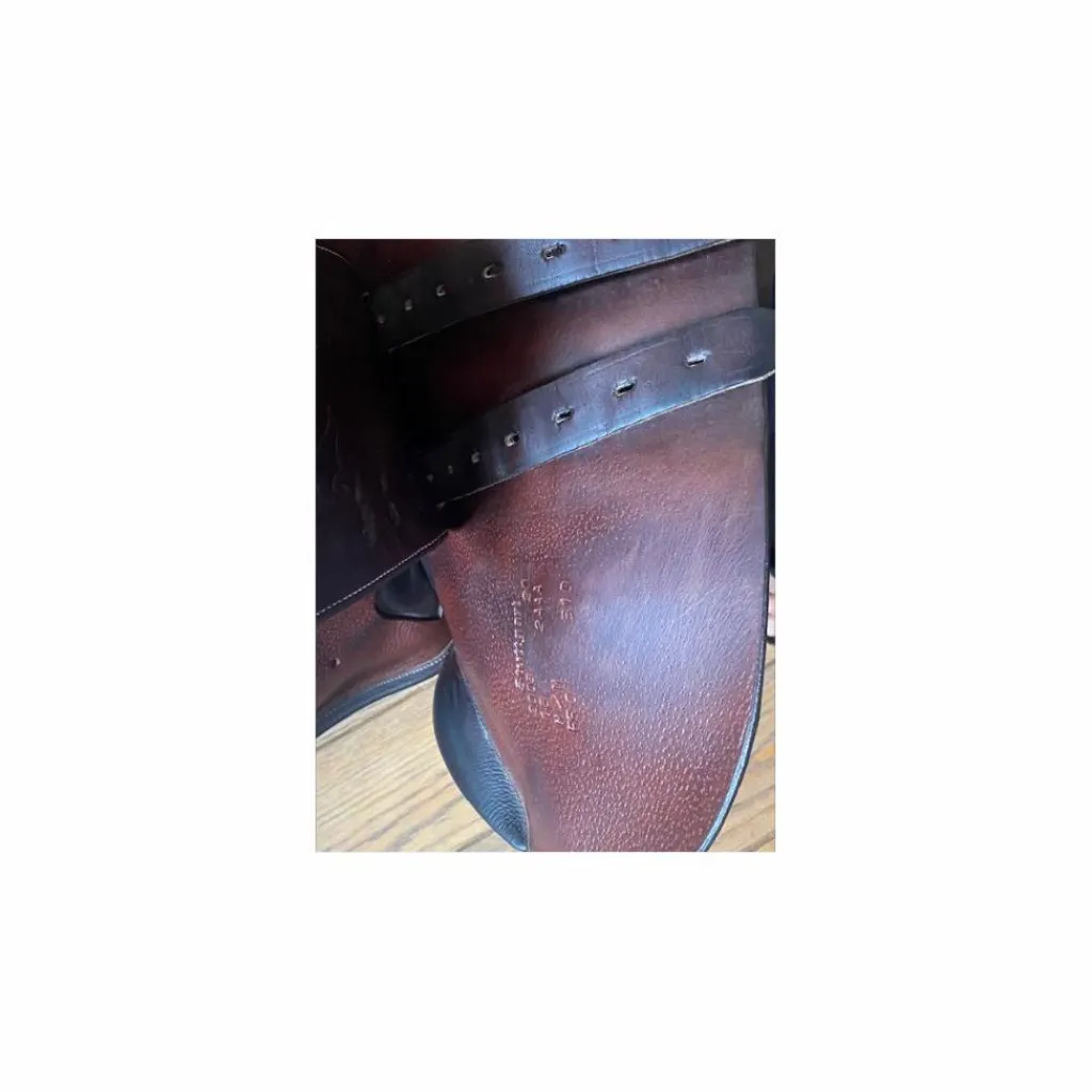 Selle*Voltaire Design Best