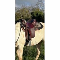 - Marque inconnue - Selles De Western><noscript><img width=