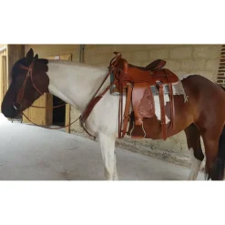 - Marque inconnue - Selles De Western><noscript><img width=