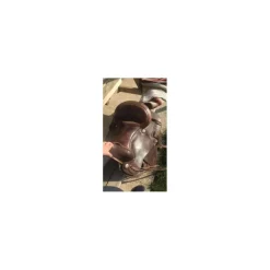 Fouganza Selles De Western><noscript><img width=
