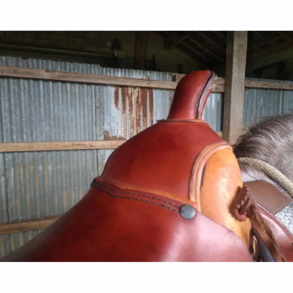 Selle western de randonnée et sacoches*- Marque inconnue - Sale