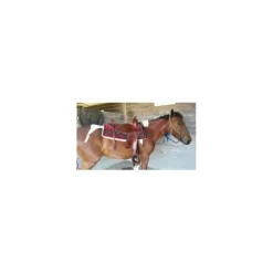 Selles De Western><noscript><img width=