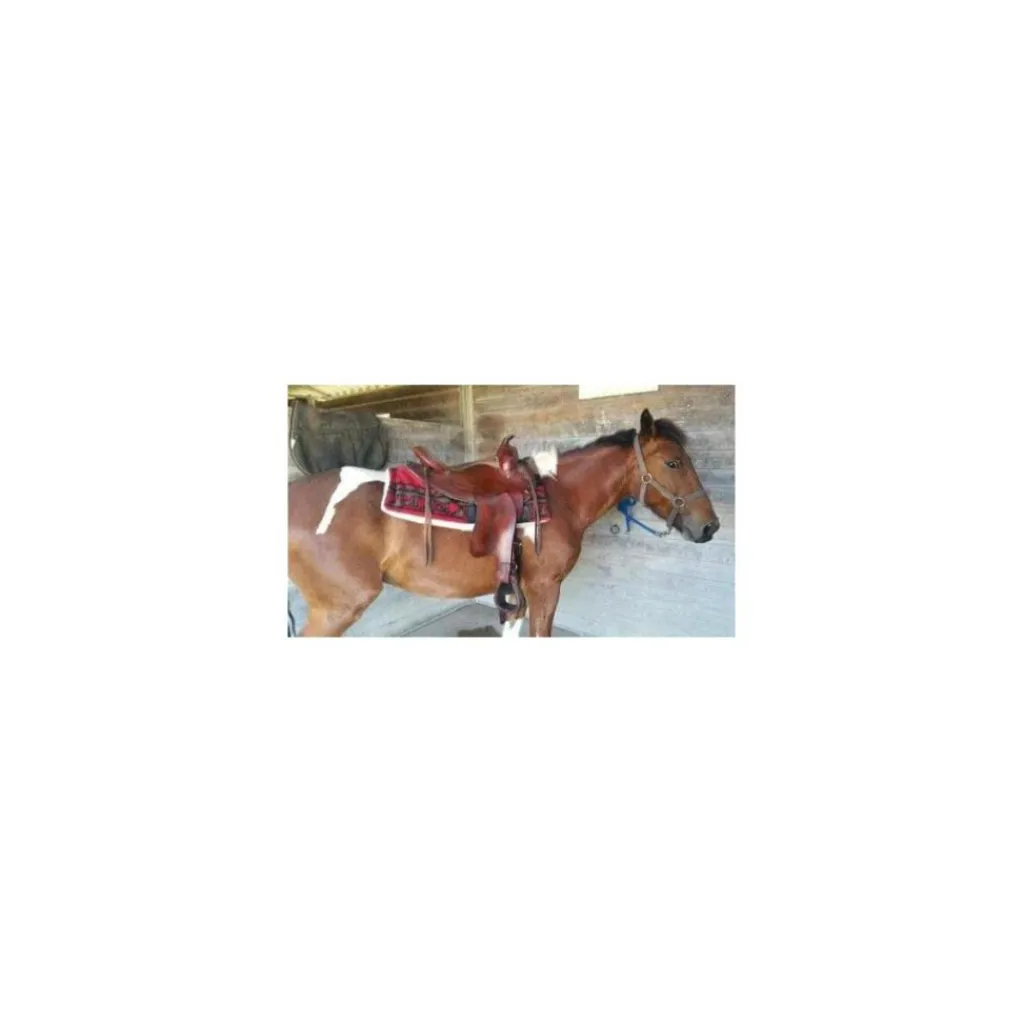 Selles De Western>selle western Montana saddlery