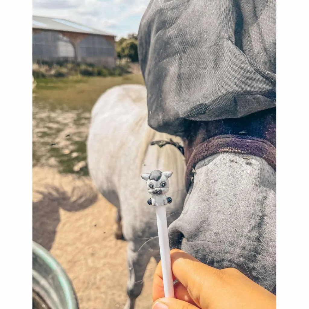 Stylo Poney personnalisé*- Marque inconnue - Outlet