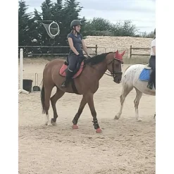 Sur-selle* Best