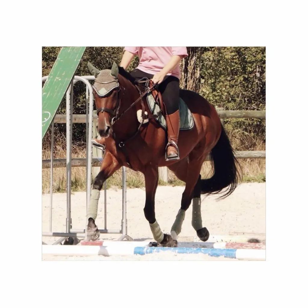 BR Ensemble Tapis + Bonnet>Tapis + Bonnet