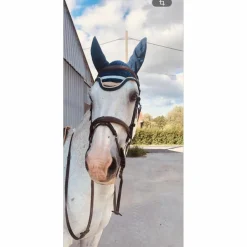 Destrier Ensemble Tapis + Bonnet>tapis + bonnet