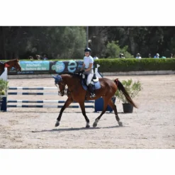 Tapis + bonnet*Equiline Best