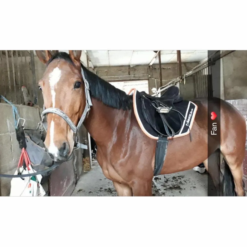 Tapis + bonnet long paddoc sport noir et orange*Paddock Sport Hot