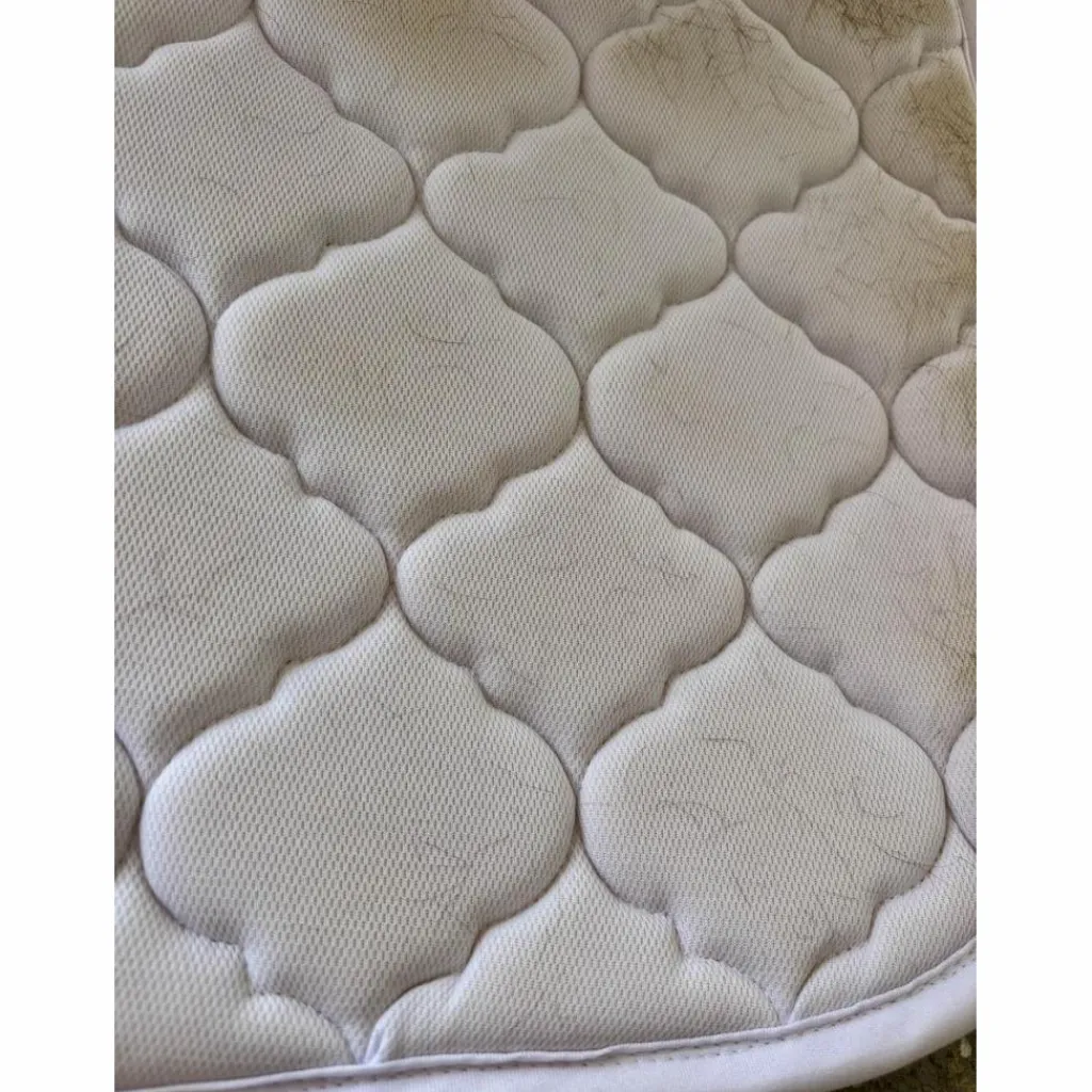 Riding World Tapis>tapis blanc