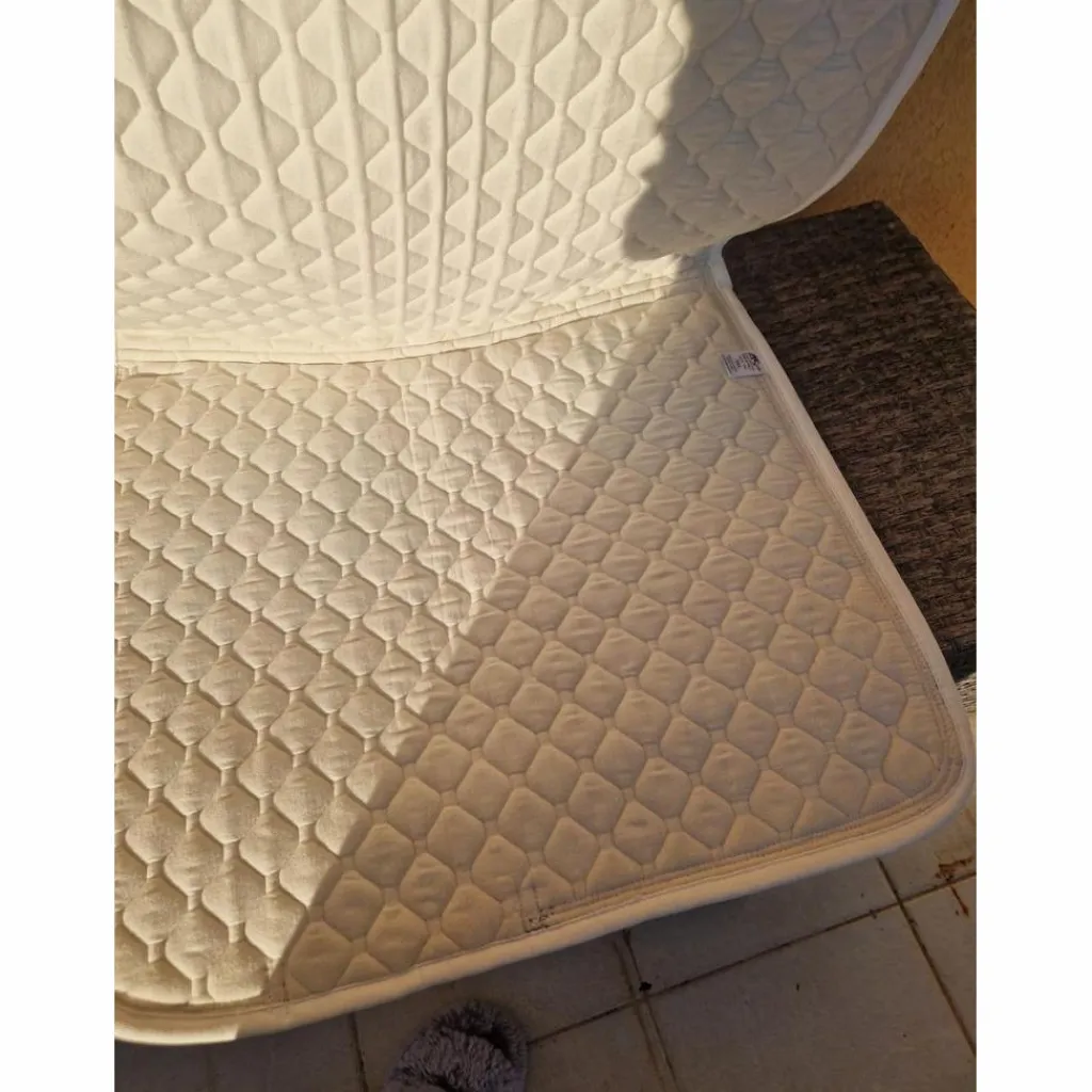 Tapis dressage asup*Anna Scarpati Outlet