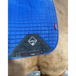 Tapis dressage Pro*Lemieux New