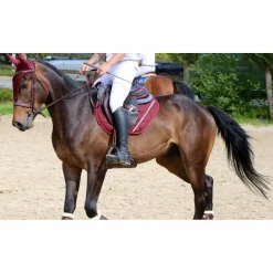 Anna Scarpati Ensemble Tapis + Bonnet><noscript><img width=