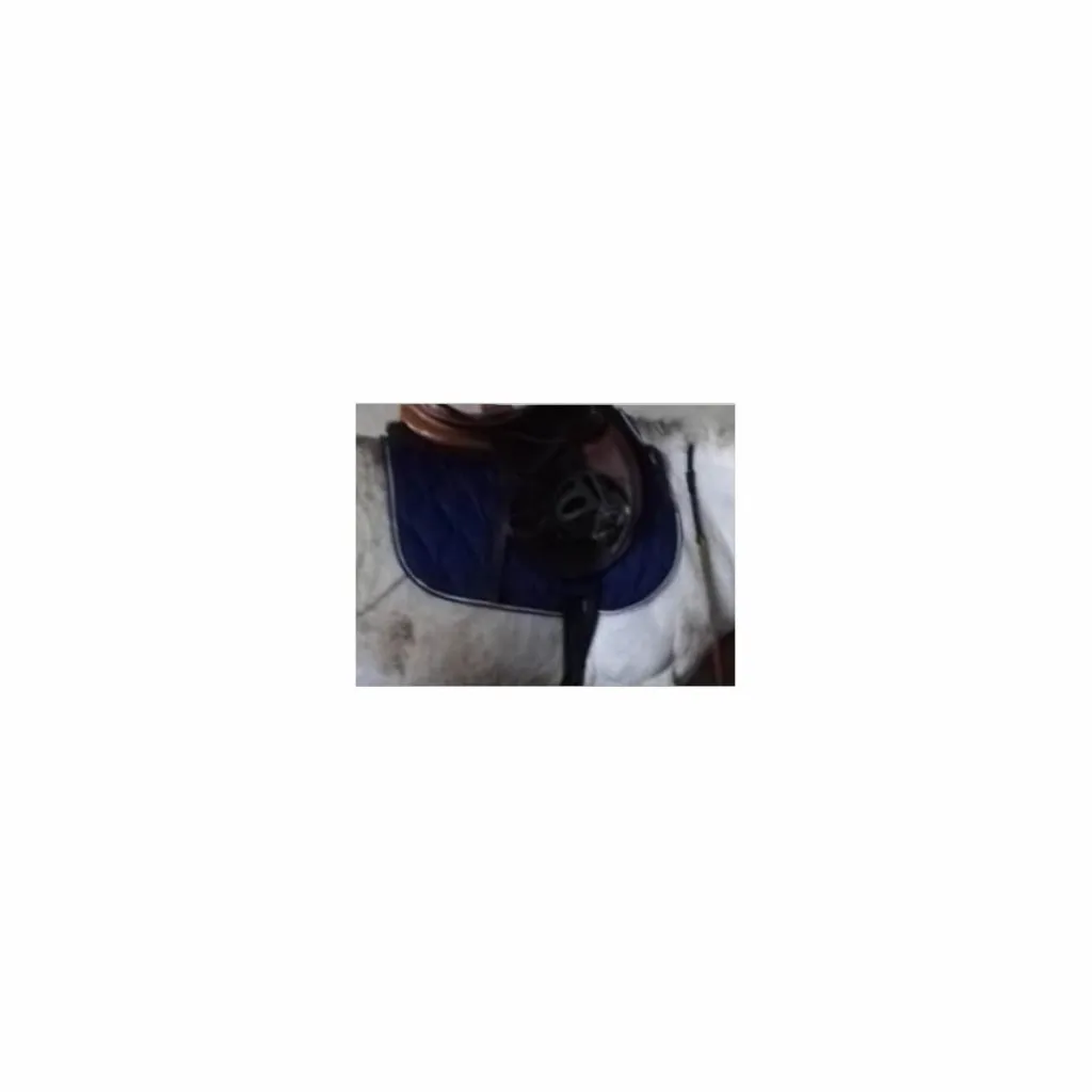 Fouganza Tapis>tapis 1 bleu roi et 1 bleu foncé