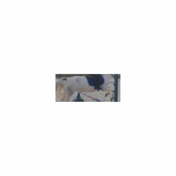 Fouganza Tapis><noscript><img width=