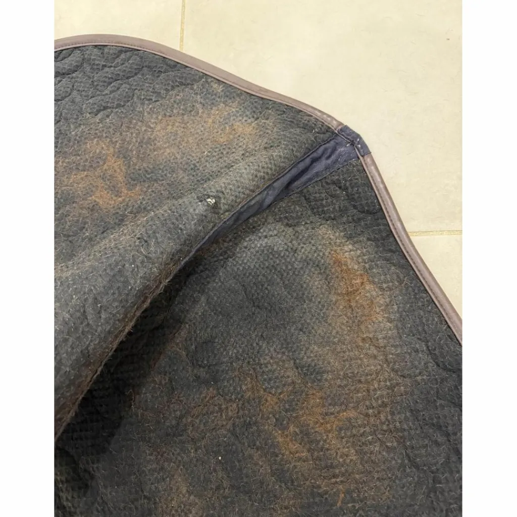 Kentucky Tapis>tapis bleu marine