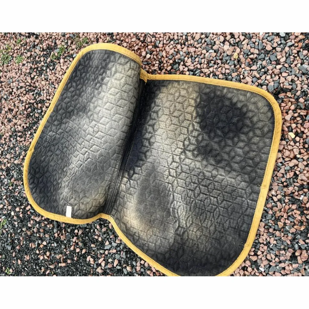 Kentucky Tapis>Tapis Velvet moutarde cheval