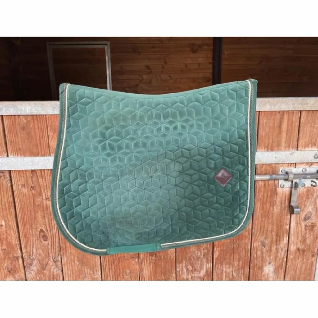 Kentucky Tapis>tapis velvet vert sapin