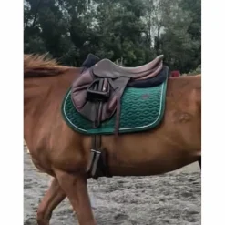 Kentucky Tapis>Tapis velvet vert sapin