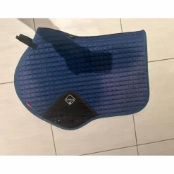 Lemieux Tapis>Tapis bleu
