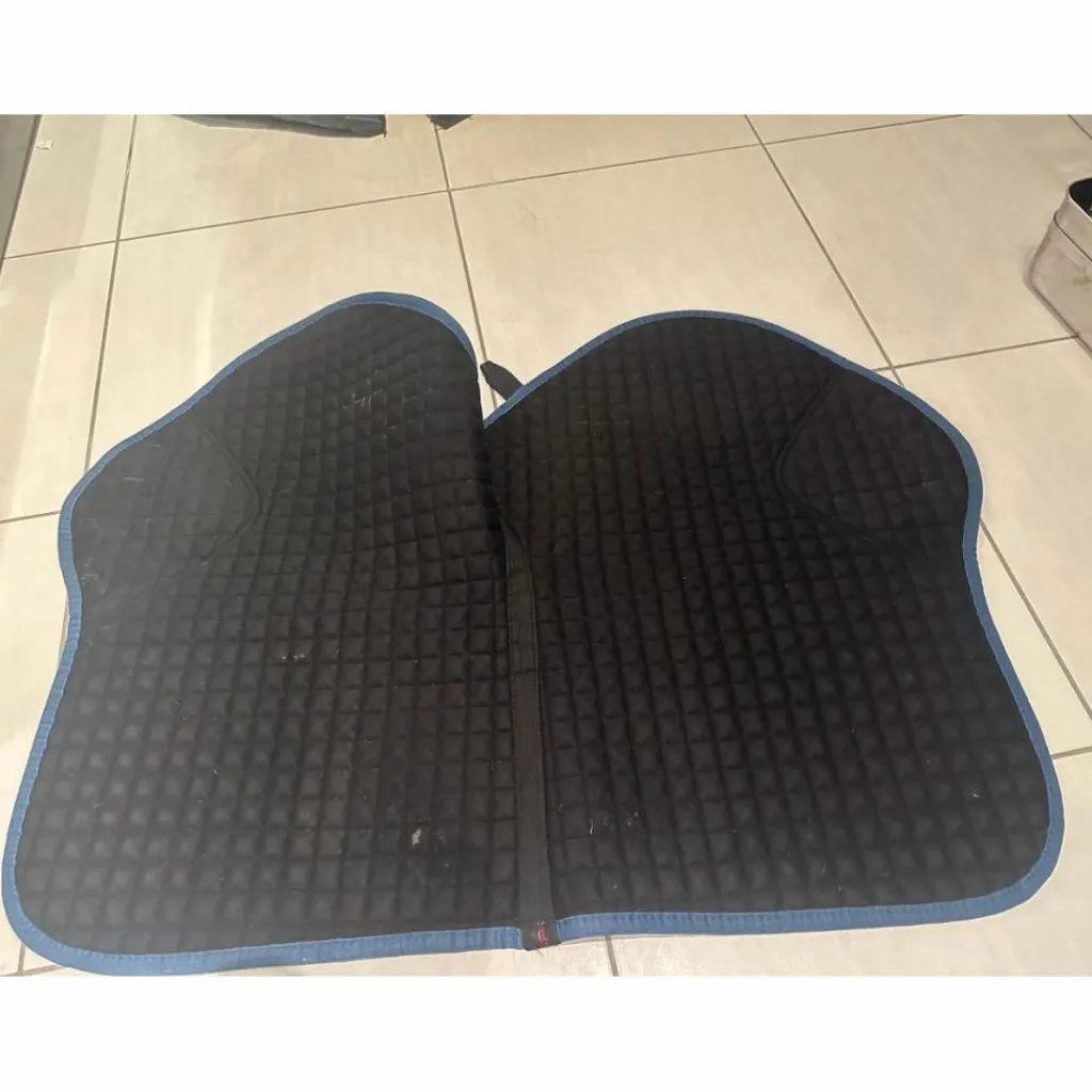 Lemieux Tapis>Tapis bleu