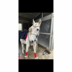 Étriers flex on*Flex-on
