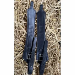 Forestier Etrivières><noscript><img width=