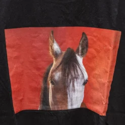 - Marque inconnue - Polos / Tshirts Équitation><noscript><img width=