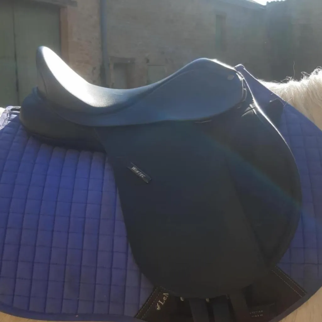 Vend ou échange selle 14 pouces*Wintec Outlet