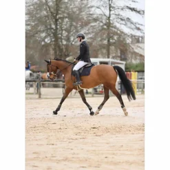 HorsePilot Vestes De Concours><noscript><img width=