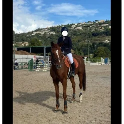 Equitheme Vestes De Concours>Veste de concours Equithème
