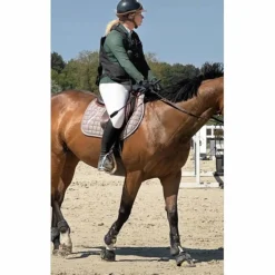 Veste vert sapin*Time Rider Online